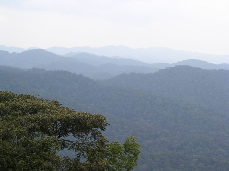 Uganda safari landscape