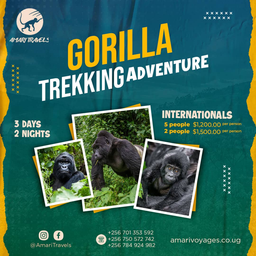 Bwindi Gorilla-Trekking-Uganda